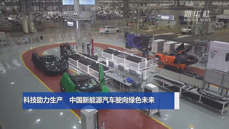 新能源公司经营范围设定的关键考量**